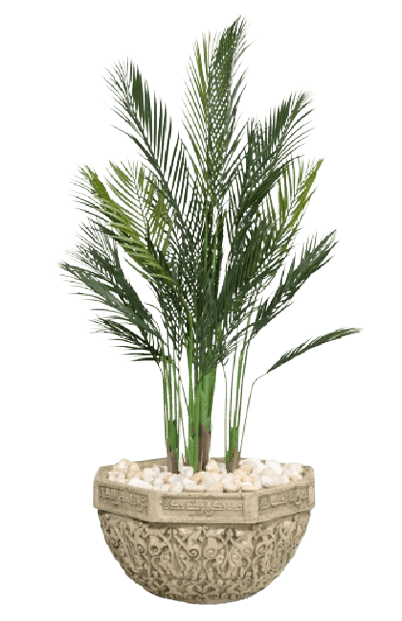 chamaedorea elegance Artificial tree 150cm