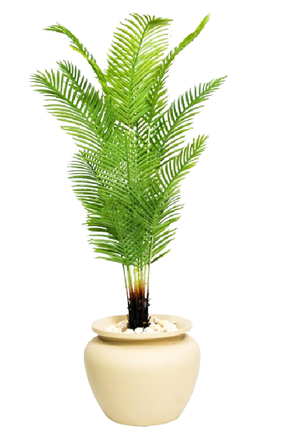 GO Sago Palm Artificial Tree 170cm
