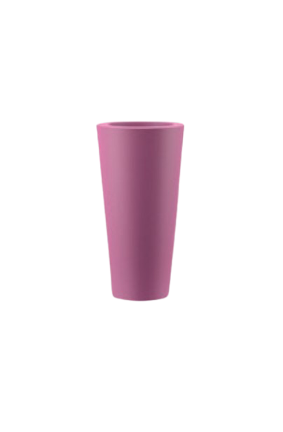 روندا بوت - الصورة 5