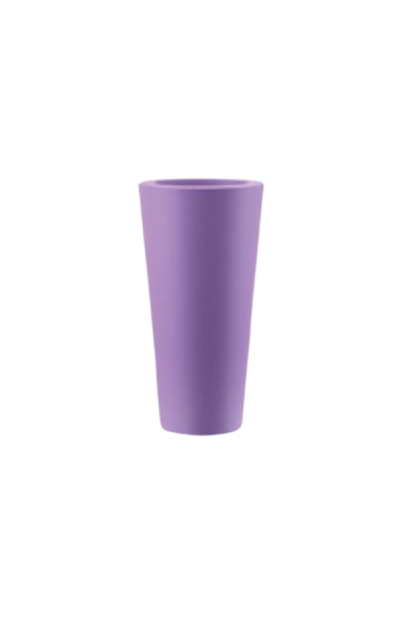 روندا بوت - الصورة 4