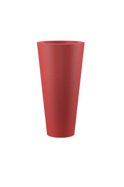 روندا بوت - الصورة 3