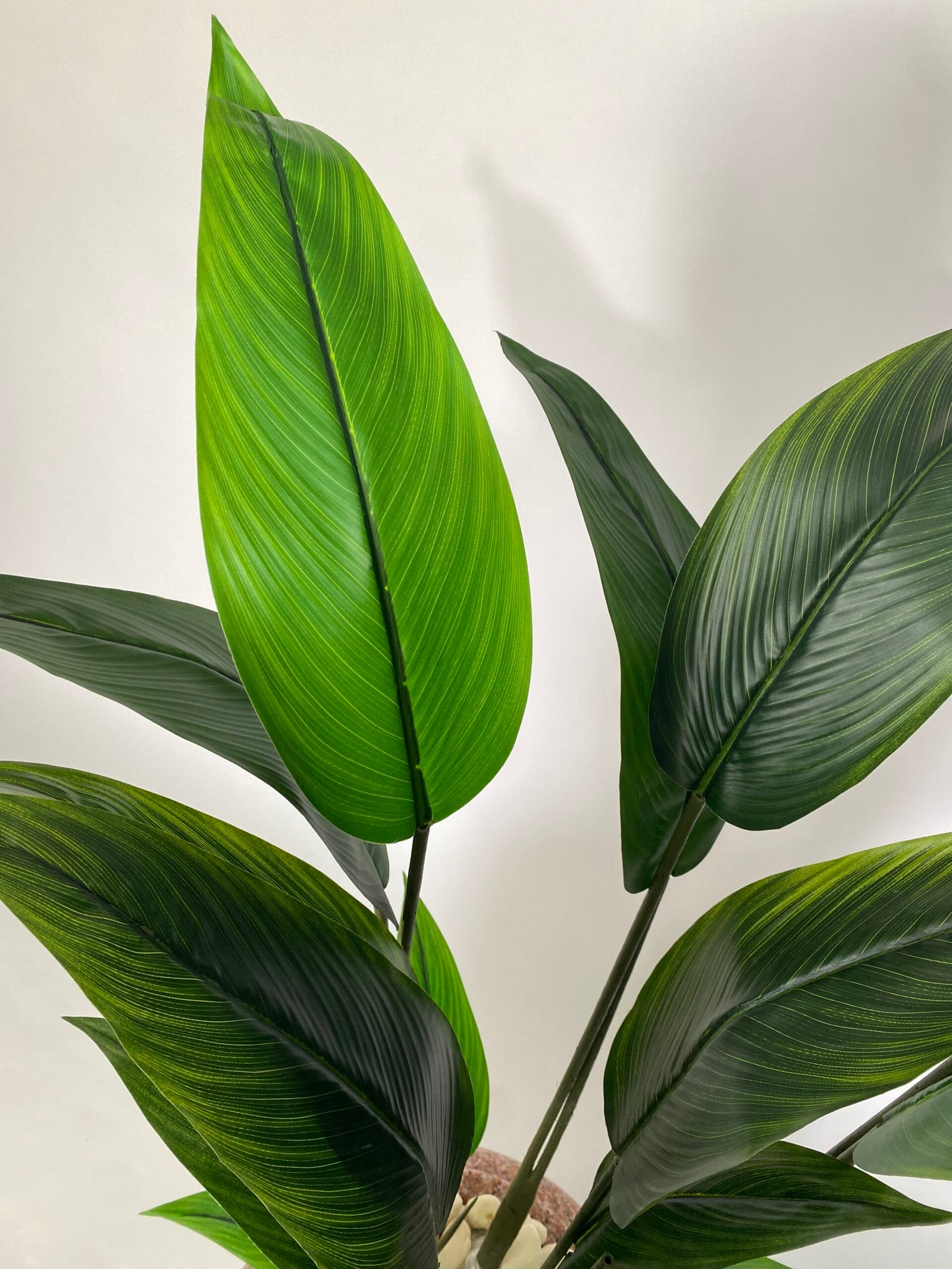 نبتة بيرد أوف بارادايس الصناعية 150 سم - الصورة 3