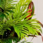 Are Tree Pots Sun-Resistant? UV Protection in Planters?