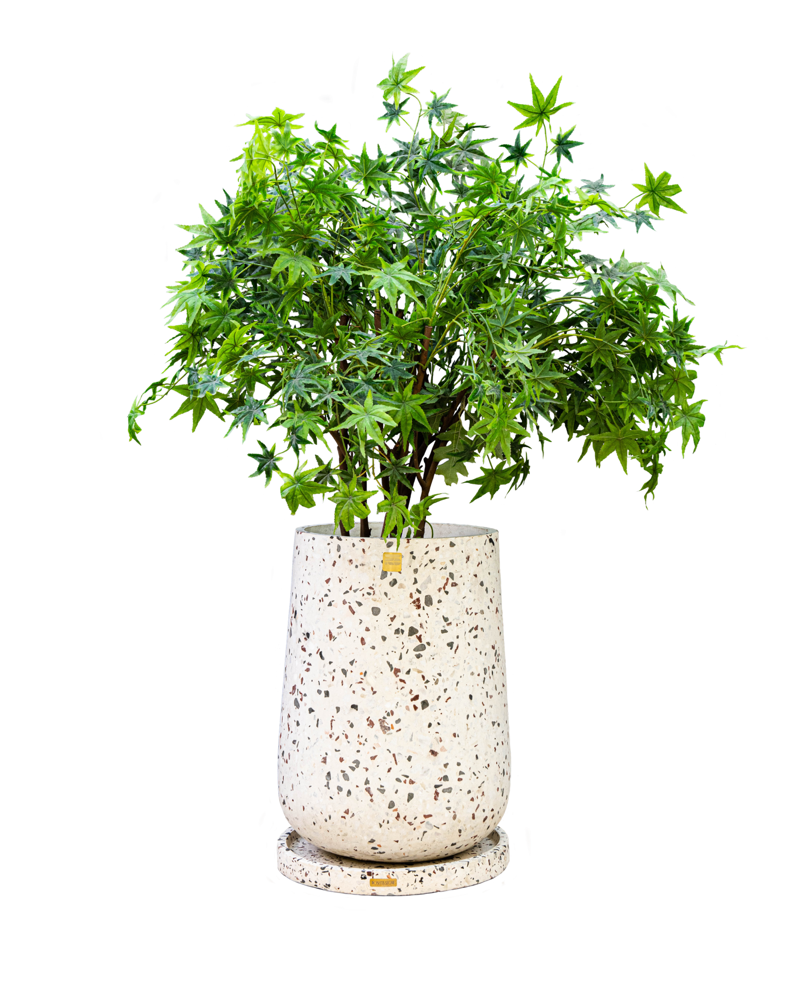 Sia large Tree pot