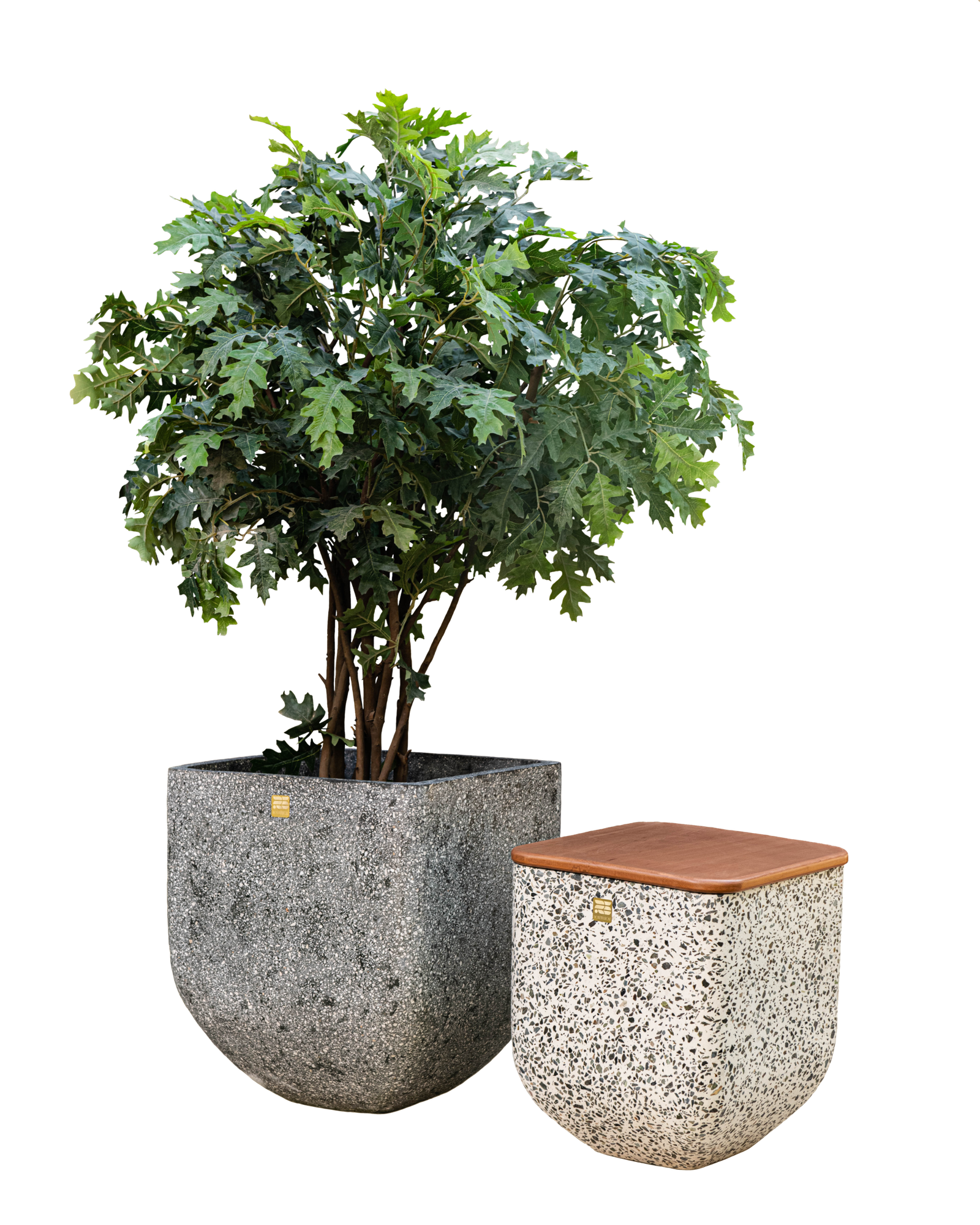 Apis Tree pot