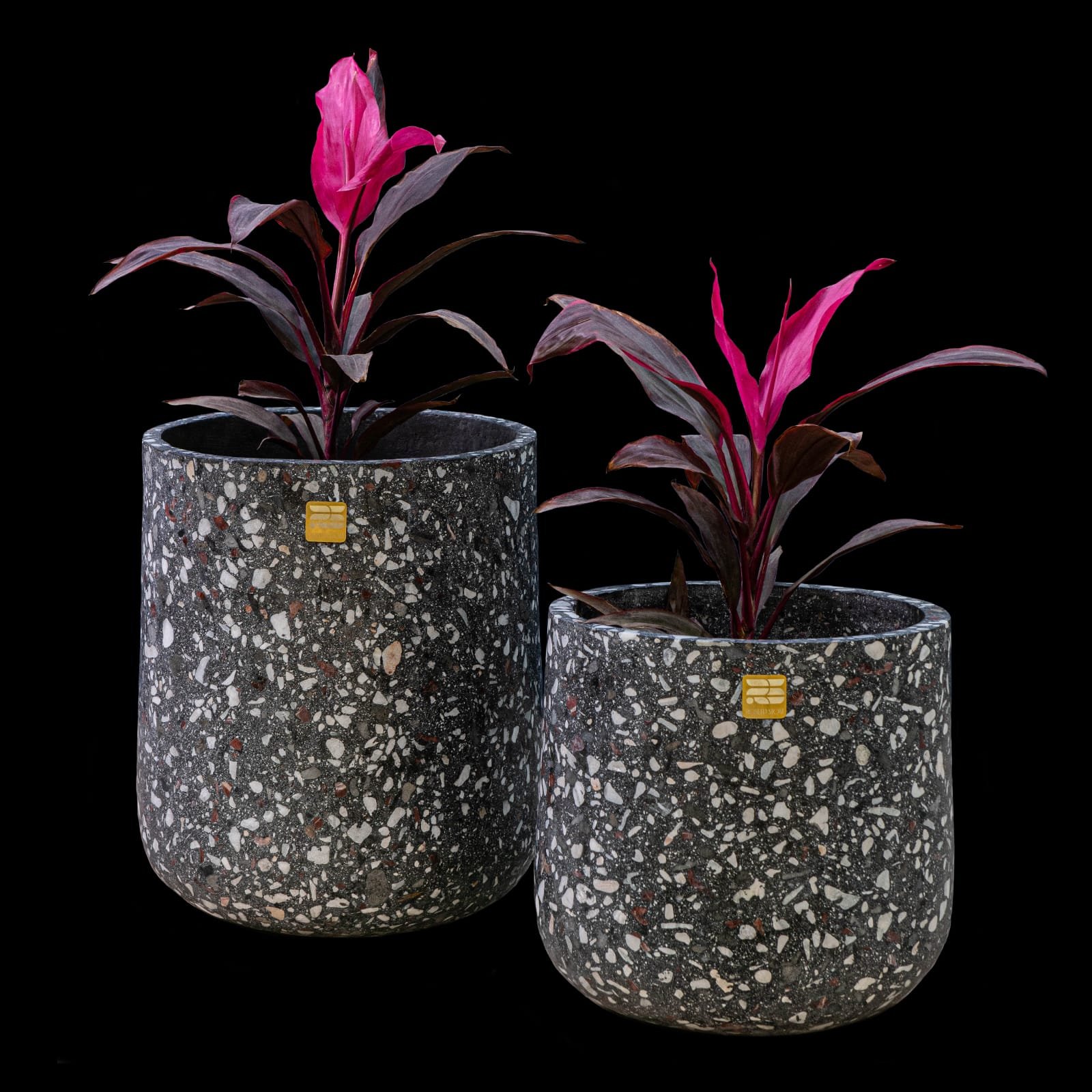 Sia small Tree pot - Image 2